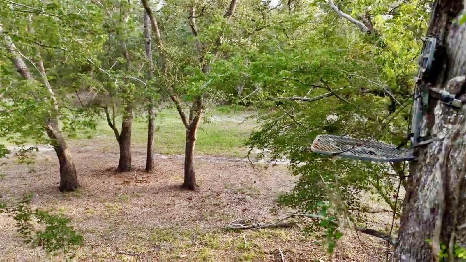 ROLLING PINES - Residential