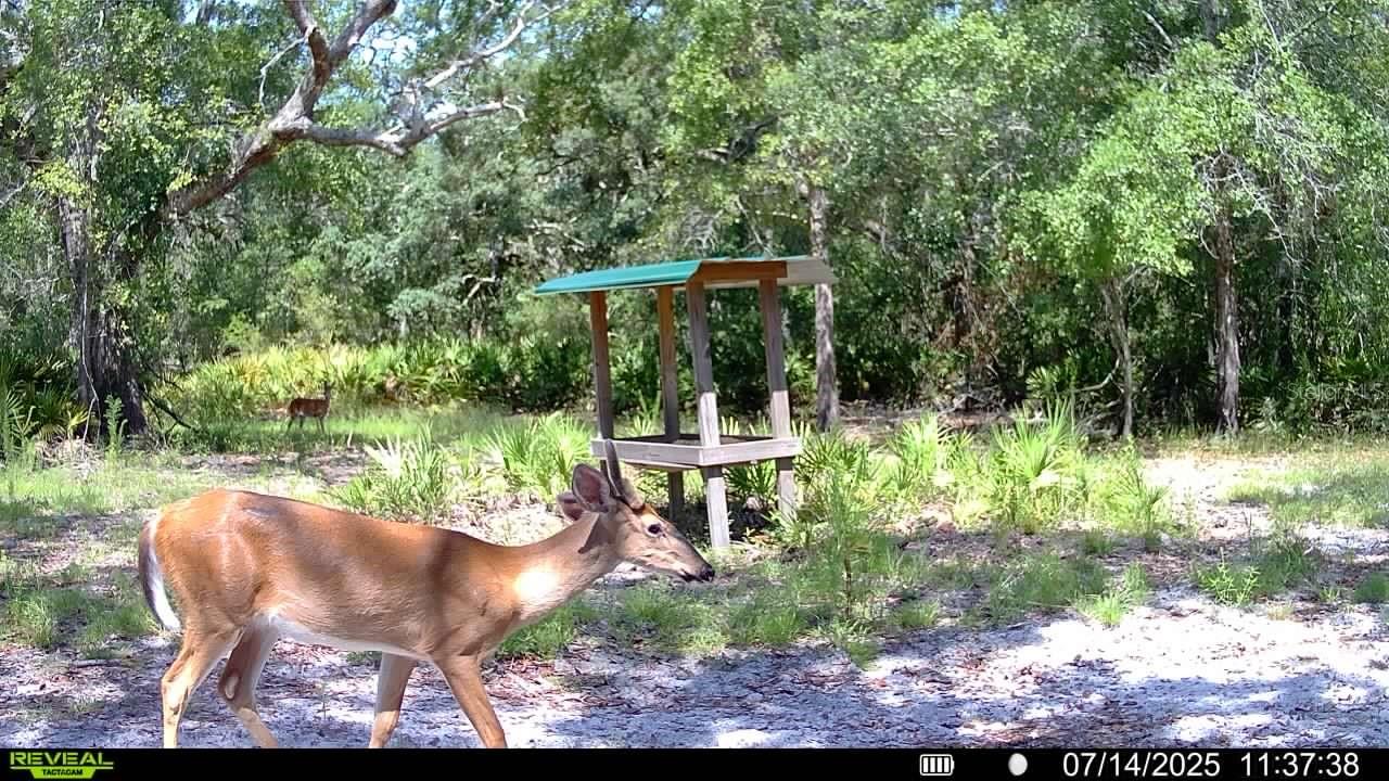 ROLLING PINES - Residential