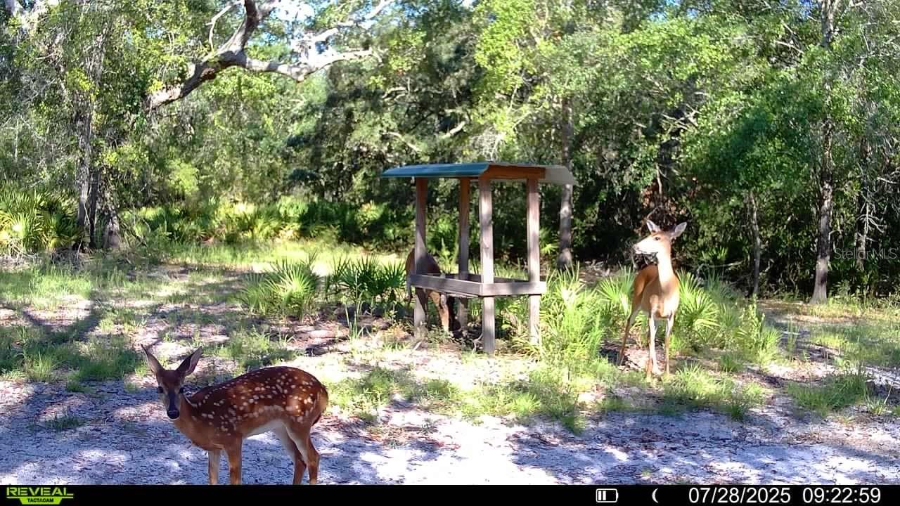 ROLLING PINES - Residential