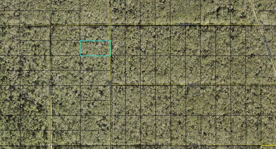 Here is your opportunity to own 1.14 acres in Flagler Estates located in Flagler County, Florida!