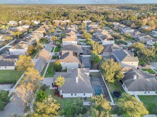 PRESERVE AT BLACK HAMMOCK REP - Residential