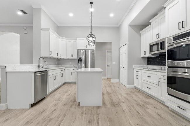 PRESERVE AT BLACK HAMMOCK REP - Residential