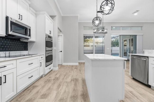 PRESERVE AT BLACK HAMMOCK REP - Residential