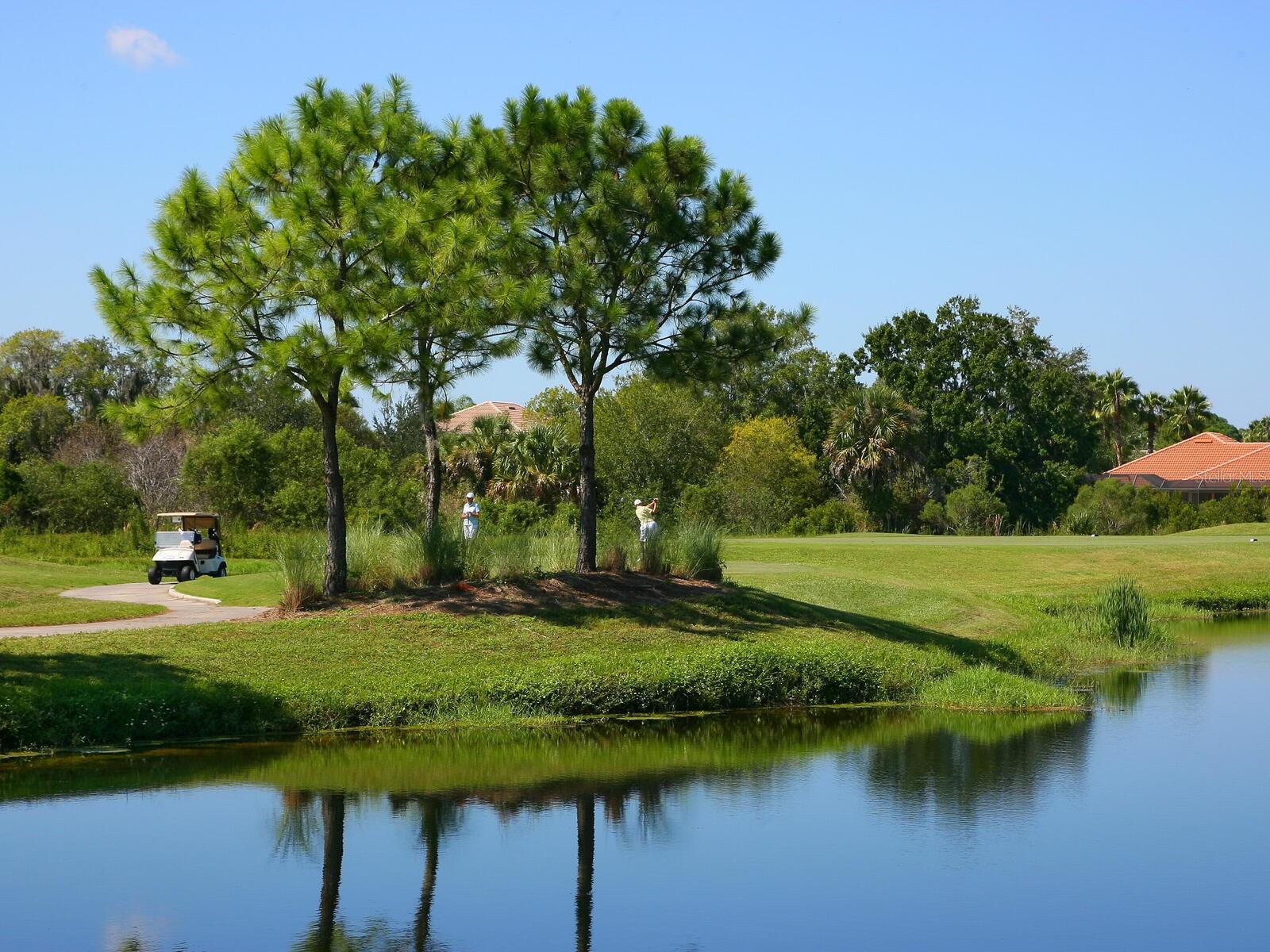 STONE RIDGE AT LAKEWOOD RANCH COUNTRY CLUB - Residential