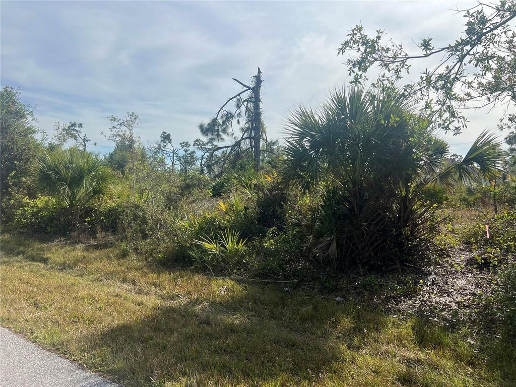 Photo of 13273 Rouding Circle, Port Charlotte, FL 33981 (MLS # C7501862)