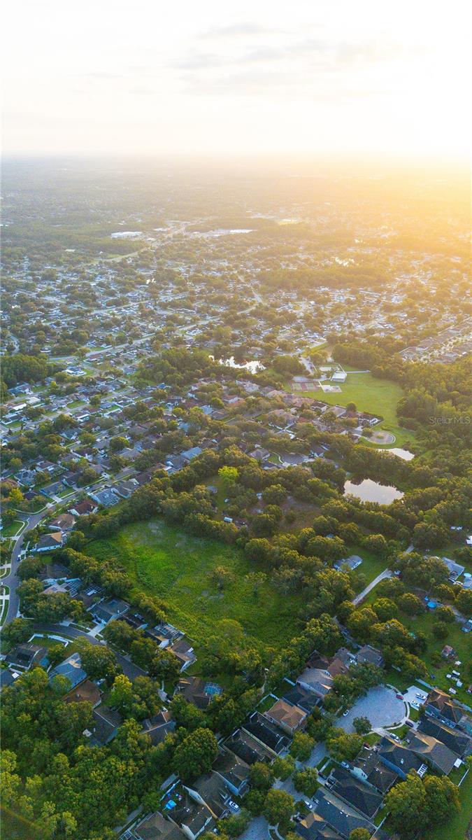 Unmatched opportunity in Carrollwood—5 pristine acres at 6327 Gant Rd offering flat, buildable land with your own serene man-made pond. Complete with private well and septic, and no HOA or deed restrictions, this property is your blank canvas for a truly custom multi-generational estate. Not even 8 miles north-northwest of Downtown Tampa, this is one of the few expansive parcels nestled in the heart of established Carrollwood. Twice the acreage: Your 5 acres offer significantly more building flexibility and space.
More privacy & landscaping potential: Twice the room for pondside features, gardens, and estate design. Utility-ready: Well and septic installed—build immediately. Freedom: No HOA or restrictive covenants. Just 20 min to TPA, 25 min to Downtown, ~40 min to Gulf beaches. Whether your vision is a sprawling personal retreat, a legacy estate, or thoughtfully designed acreage living, this is your chance to become part of something extraordinary: a rare offering of space, privacy, and potential in a highly developed corridor.