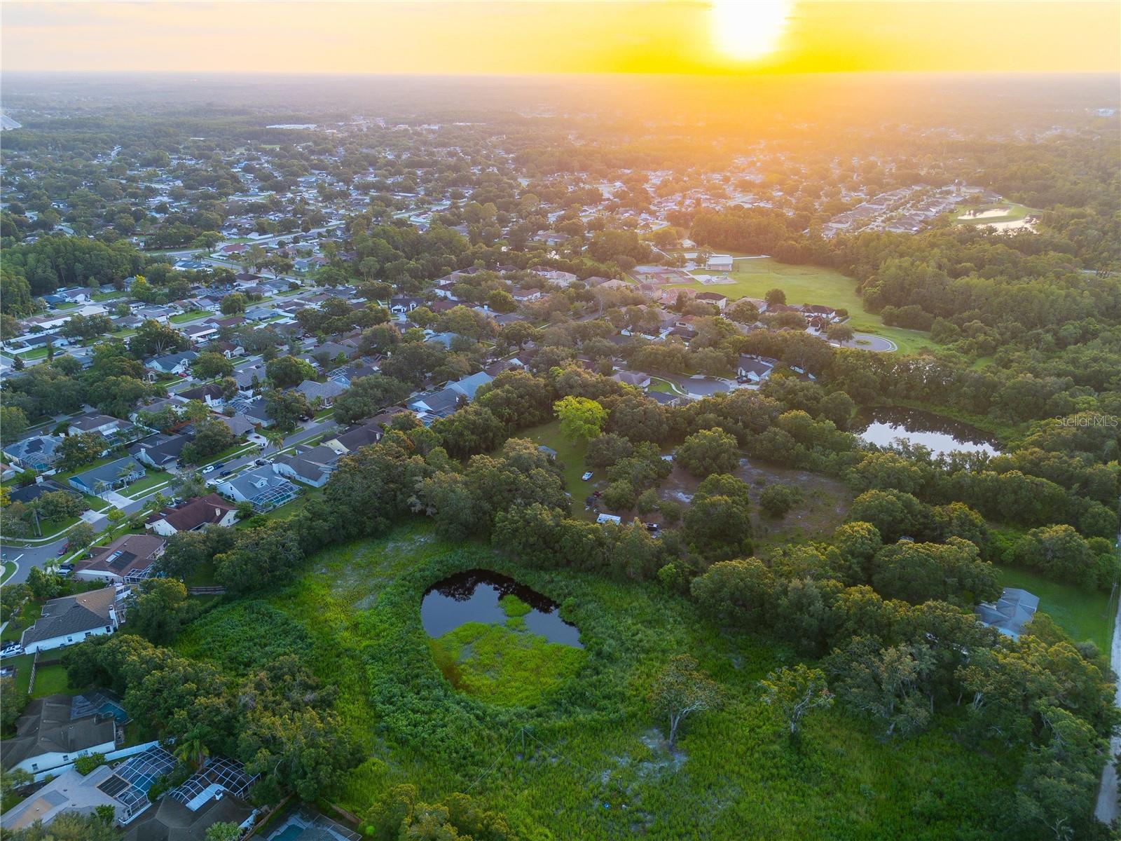 Unmatched opportunity in Carrollwood—5 pristine acres at 6327 Gant Rd offering flat, buildable land with your own serene man-made pond. Complete with private well and septic, and no HOA or deed restrictions, this property is your blank canvas for a truly custom multi-generational estate. Not even 8 miles north-northwest of Downtown Tampa, this is one of the few expansive parcels nestled in the heart of established Carrollwood. Twice the acreage: Your 5 acres offer significantly more building flexibility and space.
More privacy & landscaping potential: Twice the room for pondside features, gardens, and estate design. Utility-ready: Well and septic installed—build immediately. Freedom: No HOA or restrictive covenants. Just 20 min to TPA, 25 min to Downtown, ~40 min to Gulf beaches. Whether your vision is a sprawling personal retreat, a legacy estate, or thoughtfully designed acreage living, this is your chance to become part of something extraordinary: a rare offering of space, privacy, and potential in a highly developed corridor.