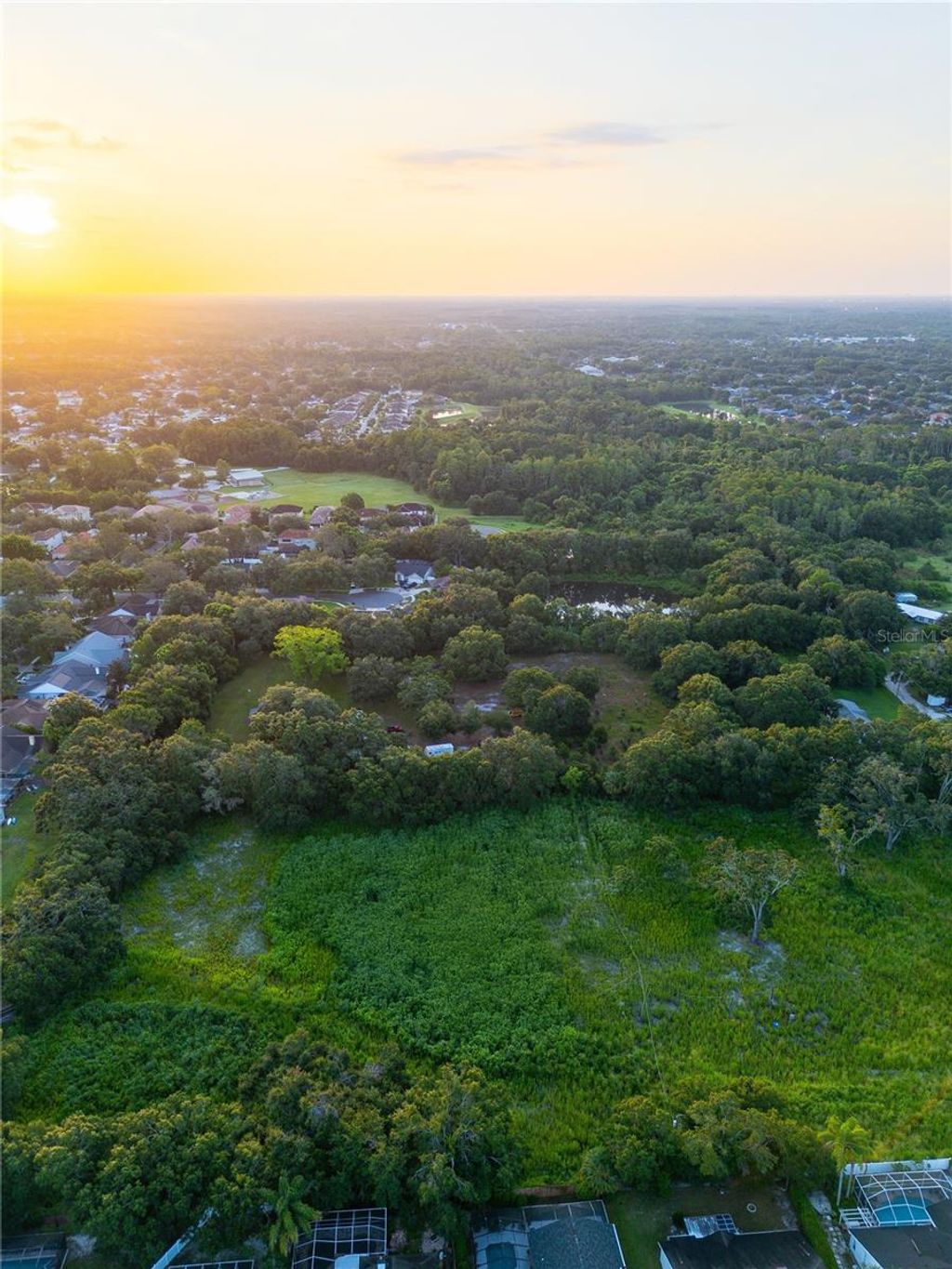 Photo of 6327 Gant Road, Tampa, FL 33625 (MLS # TB8410525)