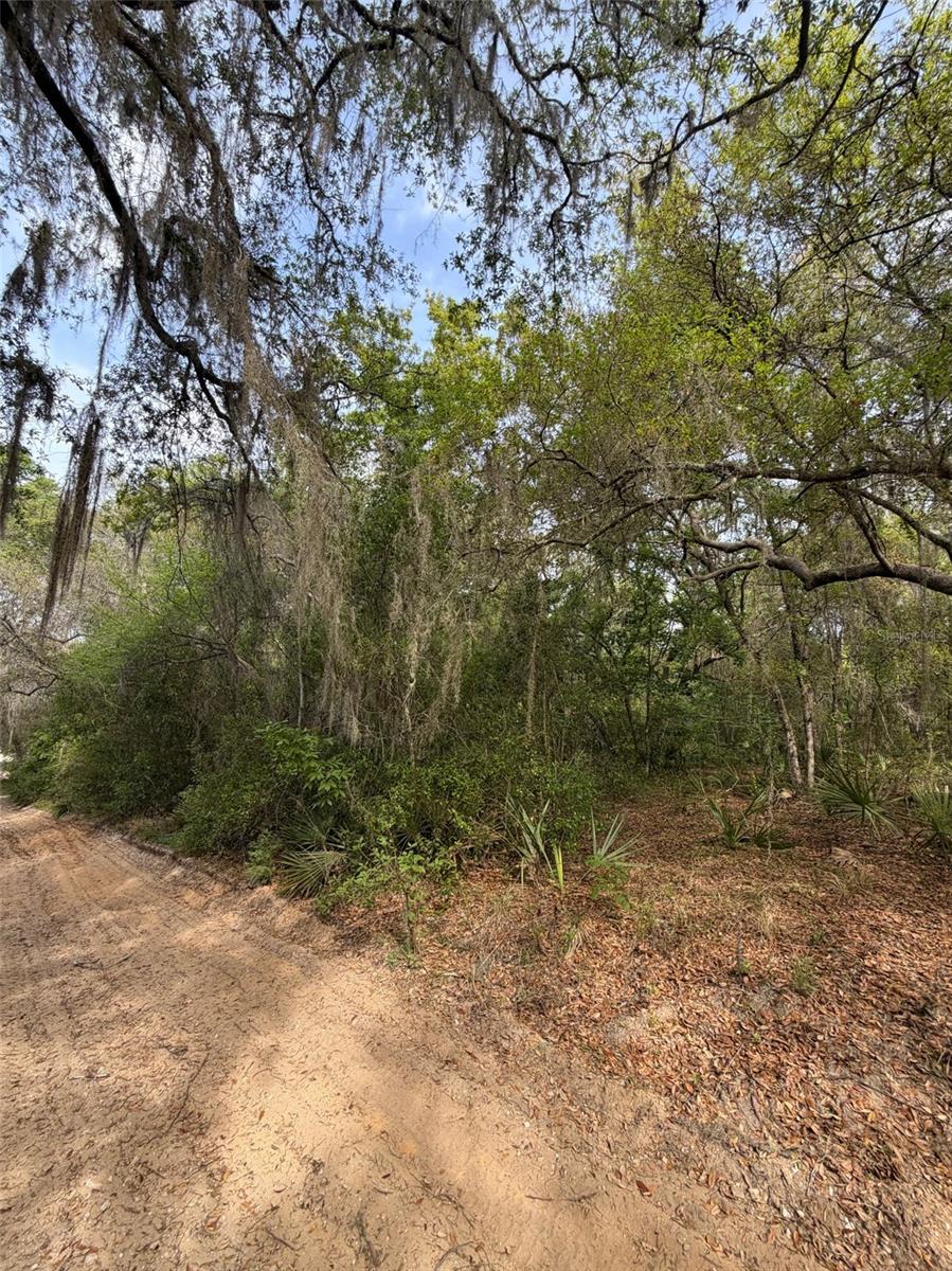 A&J CAMPSITES - Land