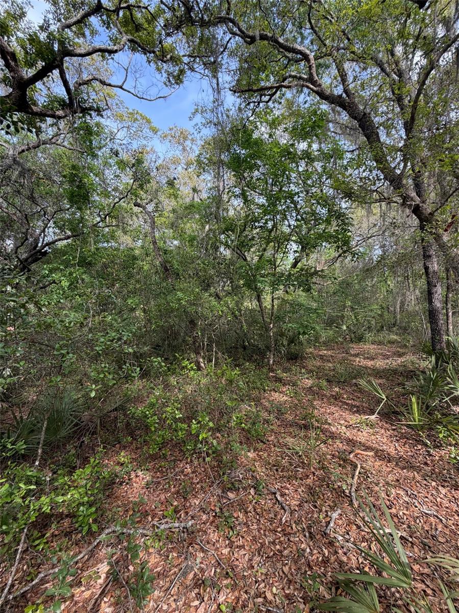 A&J CAMPSITES - Land