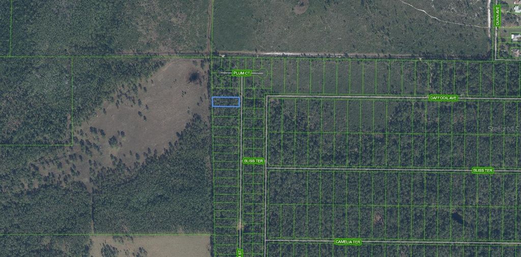 Photo of 4705 Rhubarb Street, Sebring, FL 33875 (MLS # L4957135)