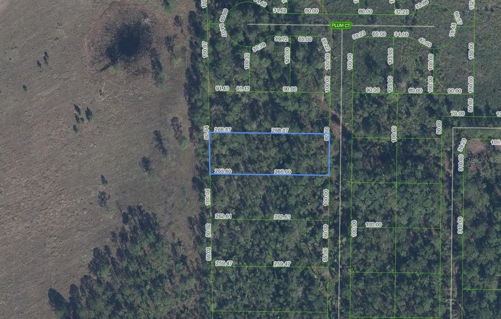 Photo of 4705 Rhubarb Street, Sebring, FL 33875 (MLS # L4957135)