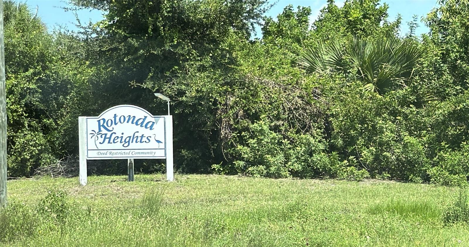 231 SPRING DRIVE