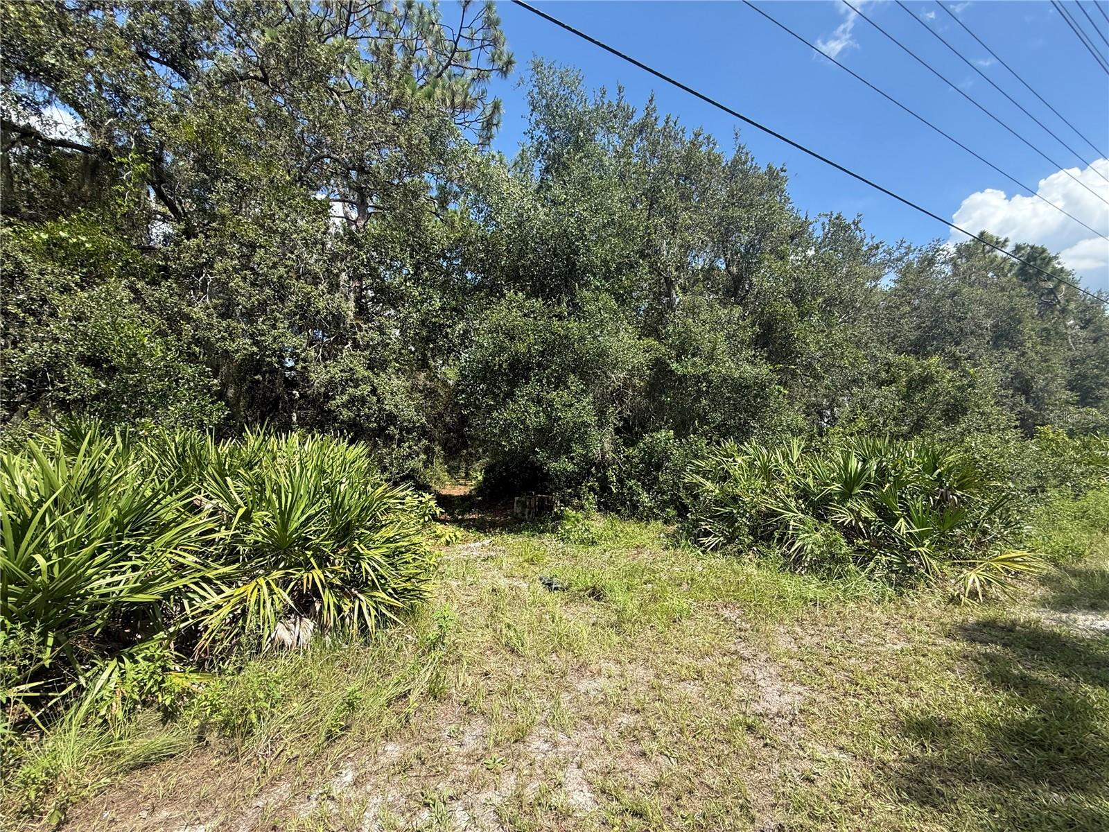 NARCOOSSEE NEW MAP OF - Land