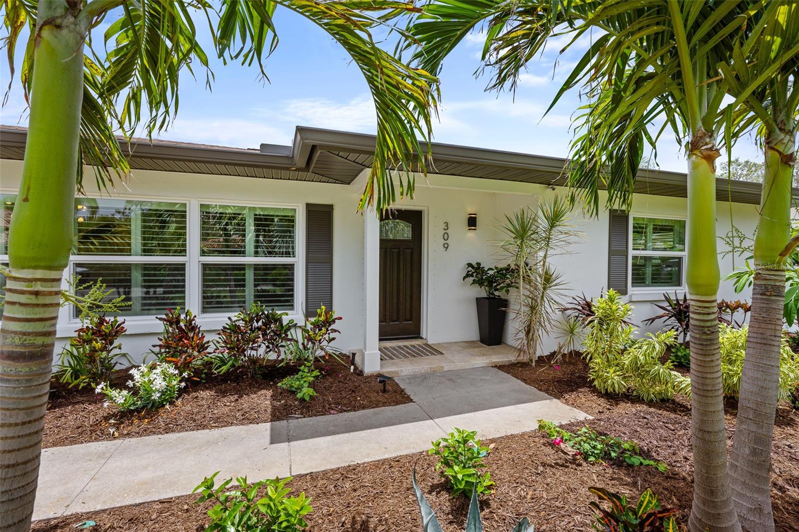 309 PALMETTO LANE