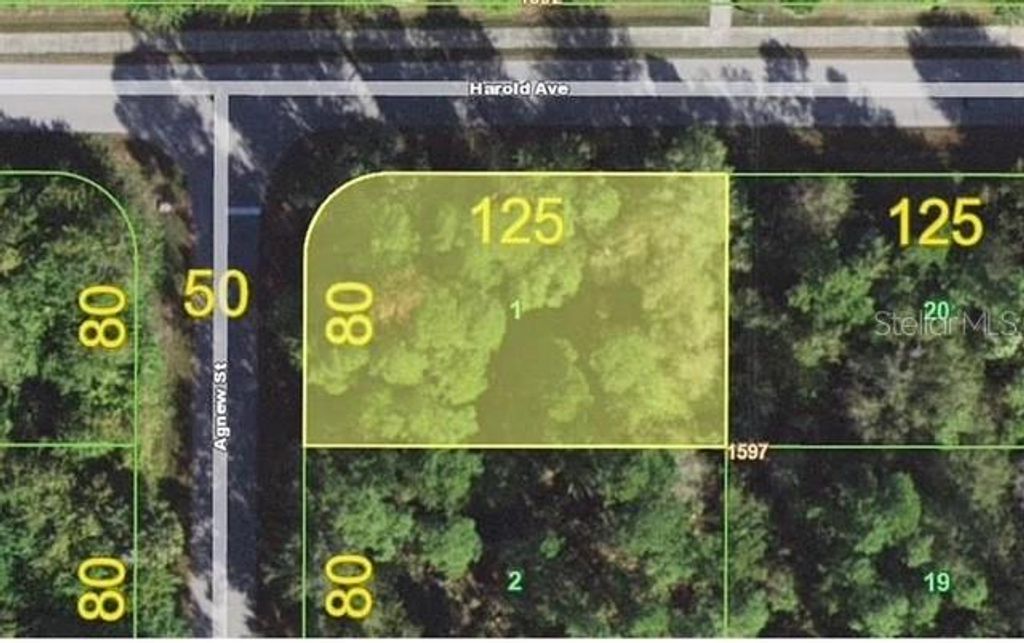 Photo of 1158 Agnew Street, Port Charlotte, FL 33980 (MLS # S5137056)