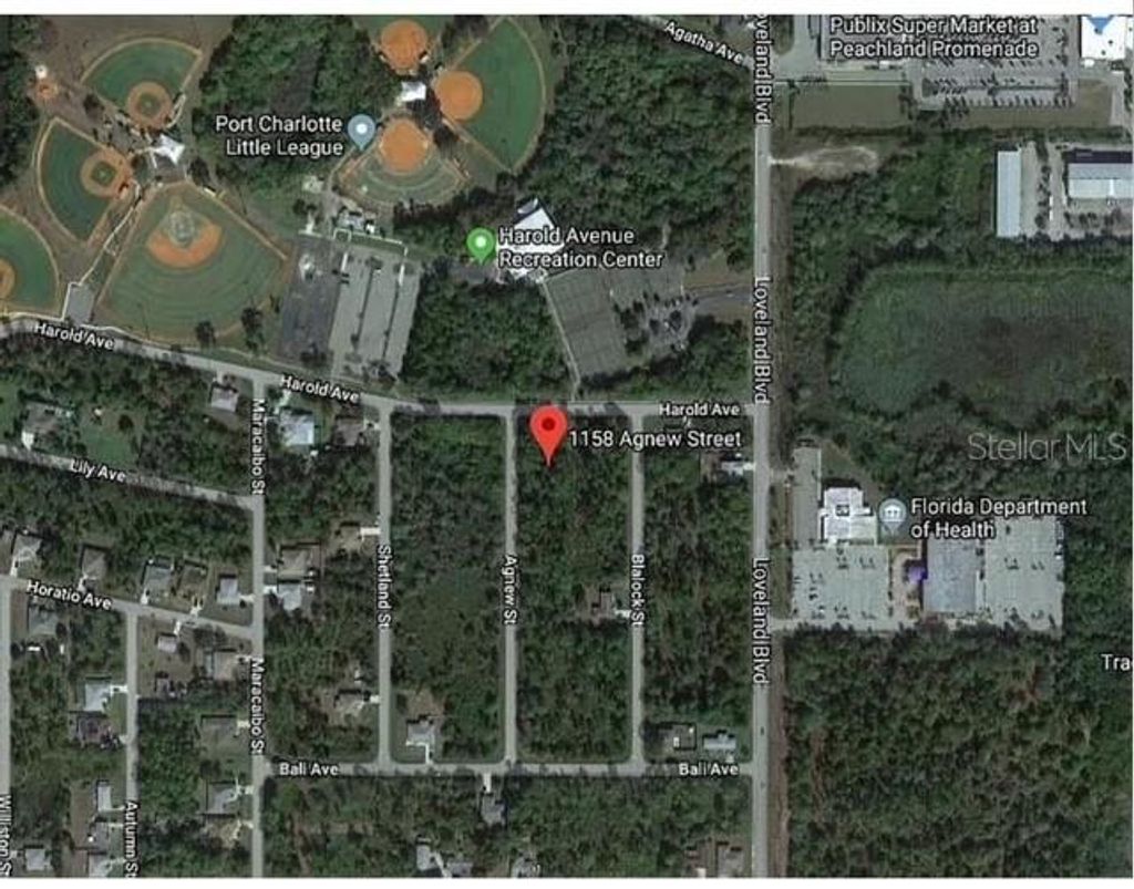 Photo of 1158 Agnew Street, Port Charlotte, FL 33980 (MLS # S5137056)