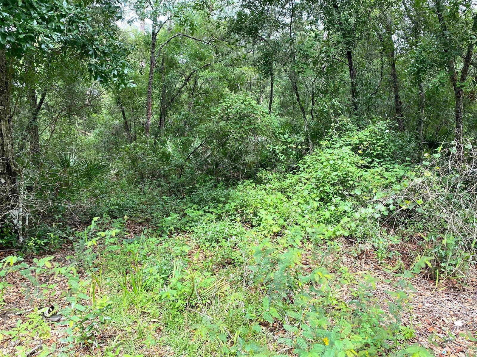 WILLIAM E CURPHEY & ASSOC - Land