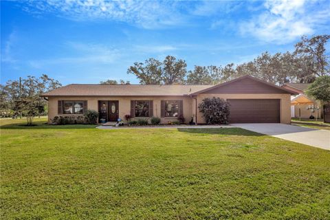 A home in RIVERVIEW