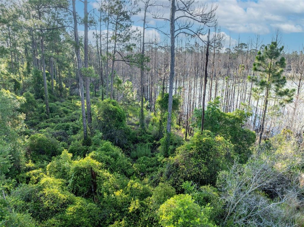 Photo of Melshire Avenue, Deltona, FL 32738 (MLS # O6380324)