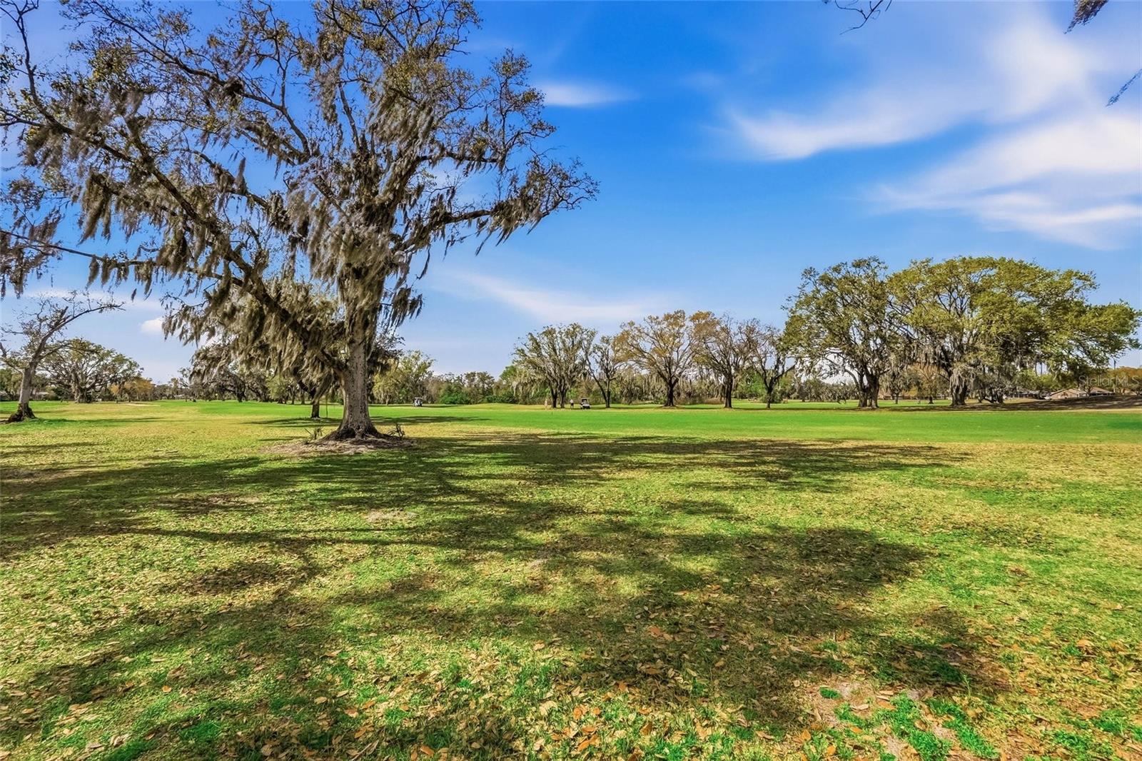 BLOOMINGDALE SECTION AA GG UNIT 1 PH 1 - Residential