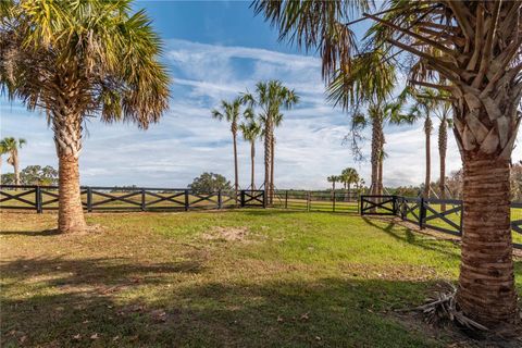 Tiny photo for Tbd Hwy 329, Reddick, FL 32686 (MLS # OM715268)