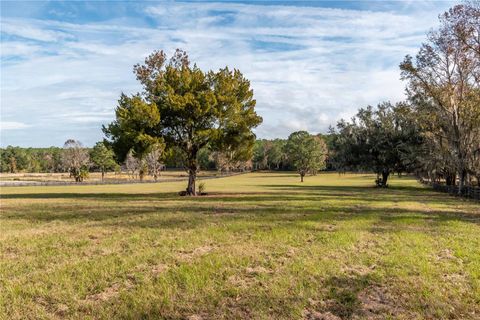 Tiny photo for Tbd Hwy 329, Reddick, FL 32686 (MLS # OM715268)