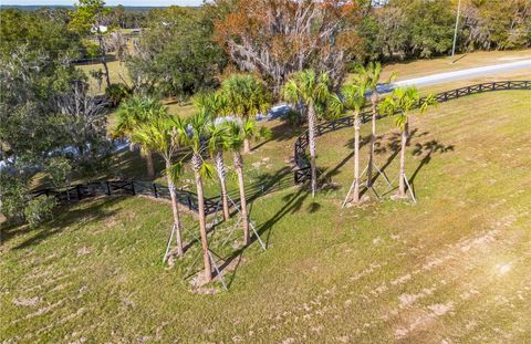 Tiny photo for Tbd Hwy 329, Reddick, FL 32686 (MLS # OM715268)