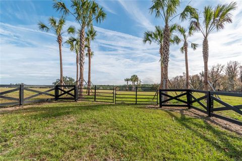 Photo of Tbd Hwy 329, Reddick, FL 32686 (MLS # OM715268)