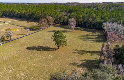 Tiny photo for Tbd Hwy 329, Reddick, FL 32686 (MLS # OM715268)