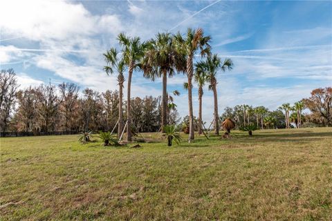 Tiny photo for Tbd Hwy 329, Reddick, FL 32686 (MLS # OM715268)