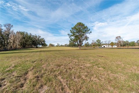 Tiny photo for Tbd Hwy 329, Reddick, FL 32686 (MLS # OM715268)