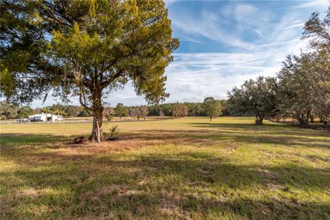 Tiny photo for Tbd Hwy 329, Reddick, FL 32686 (MLS # OM715268)