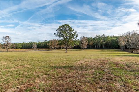 Tiny photo for Tbd Hwy 329, Reddick, FL 32686 (MLS # OM715268)