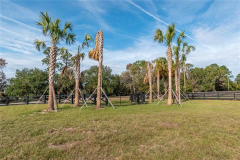 Tiny photo for Tbd Hwy 329, Reddick, FL 32686 (MLS # OM715268)