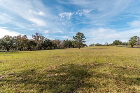 Tiny photo for Tbd Hwy 329, Reddick, FL 32686 (MLS # OM715268)