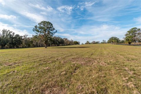 Tiny photo for Tbd Hwy 329, Reddick, FL 32686 (MLS # OM715268)