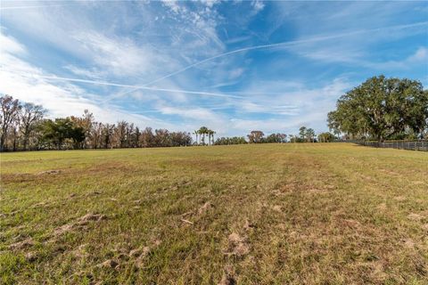 Tiny photo for Tbd Hwy 329, Reddick, FL 32686 (MLS # OM715268)