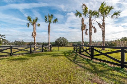 Tiny photo for Tbd Hwy 329, Reddick, FL 32686 (MLS # OM715268)