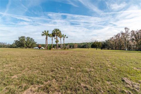 Tiny photo for Tbd Hwy 329, Reddick, FL 32686 (MLS # OM715268)