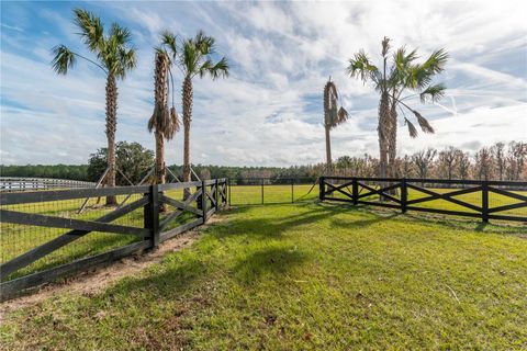 Tiny photo for Tbd Hwy 329, Reddick, FL 32686 (MLS # OM715268)