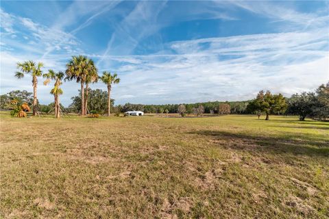 Tiny photo for Tbd Hwy 329, Reddick, FL 32686 (MLS # OM715268)