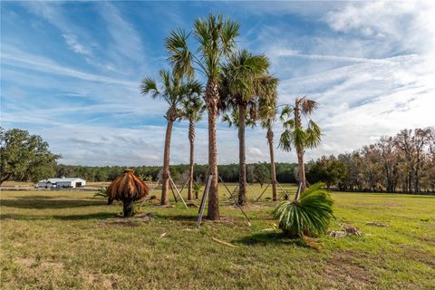 Tiny photo for Tbd Hwy 329, Reddick, FL 32686 (MLS # OM715268)