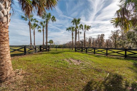 Tiny photo for Tbd Hwy 329, Reddick, FL 32686 (MLS # OM715268)