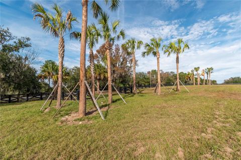 Tiny photo for Tbd Hwy 329, Reddick, FL 32686 (MLS # OM715268)
