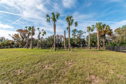 Tiny photo for Tbd Hwy 329, Reddick, FL 32686 (MLS # OM715268)