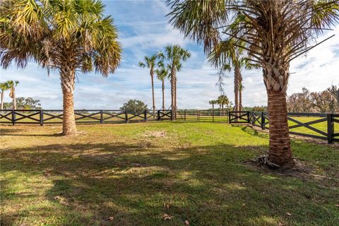 Tiny photo for Tbd Hwy 329, Reddick, FL 32686 (MLS # OM715268)