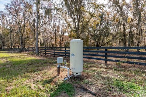 Tiny photo for Tbd Hwy 329, Reddick, FL 32686 (MLS # OM715268)