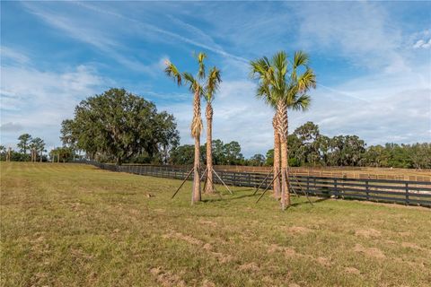 Tiny photo for Tbd Hwy 329, Reddick, FL 32686 (MLS # OM715268)