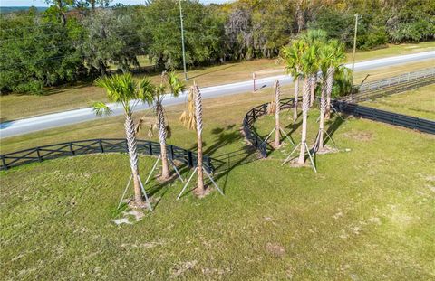 Tiny photo for Tbd Hwy 329, Reddick, FL 32686 (MLS # OM715268)